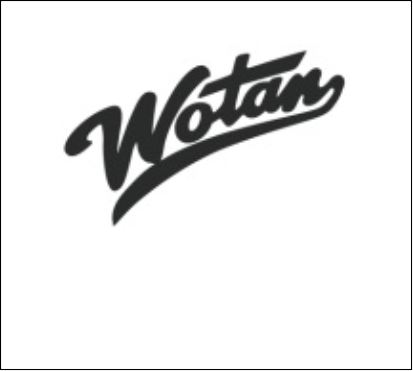 Wotan Stahlsaiten für Hakenharfe 5. Oktave